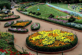 Sim's Park